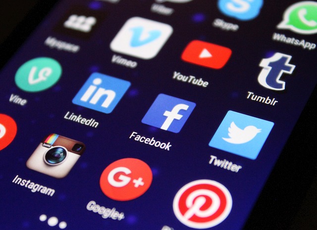 Réseaux Sociaux pour Artisans : Lesquels Choisir et Comment les Utiliser (Sans y Passer des Heures)